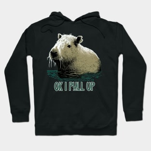 Capybara. Okay I pull up Hoodie